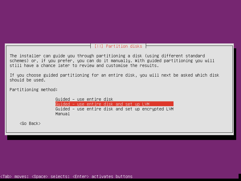 Use entire disk and set up LVM