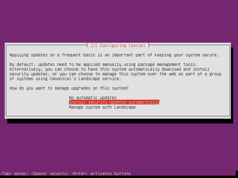 Choose to install security updates automatically